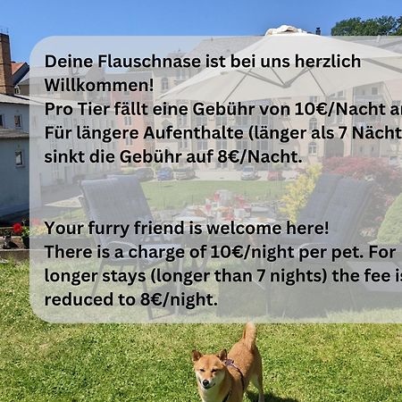 F4 - Urlaubsmagie - Grosse Wohnung Fuer Bis Zu 10 Personen Sebnitz Zewnętrze zdjęcie
