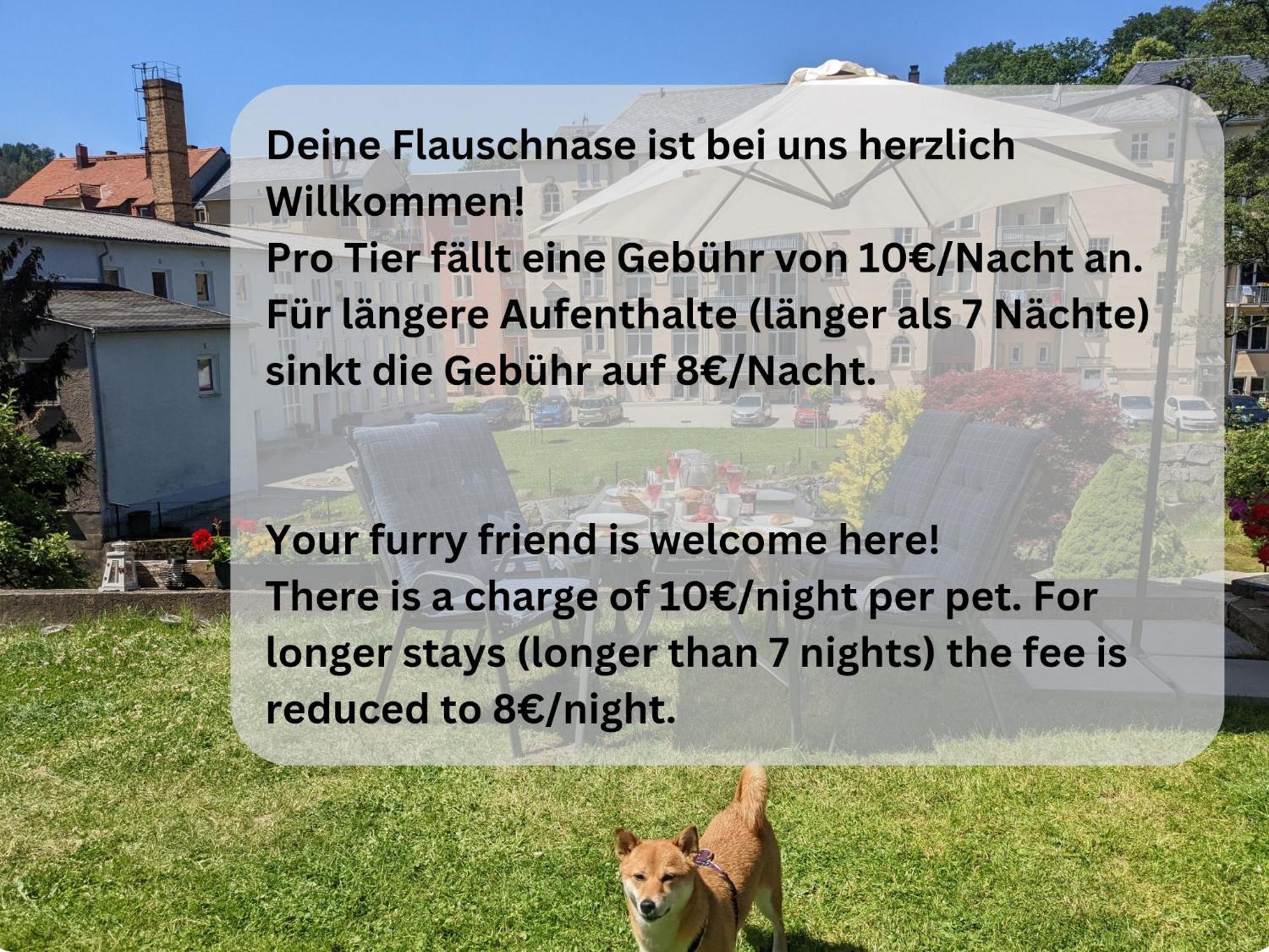 F4 - Urlaubsmagie - Grosse Wohnung Fuer Bis Zu 10 Personen Sebnitz Zewnętrze zdjęcie